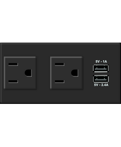 TS-2UC/US Dual Power Socket, USA, 2 Socket with 2 USB Charging Port, Version: 1x USA / 2 USB