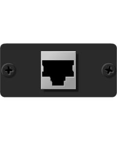 W-45 RJ-45 Ethernet Wall Plate Insert, Black, Single Slot