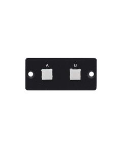 RC-20TB(B) Module-Insert with 2 Buttons and Dry Contact Switch