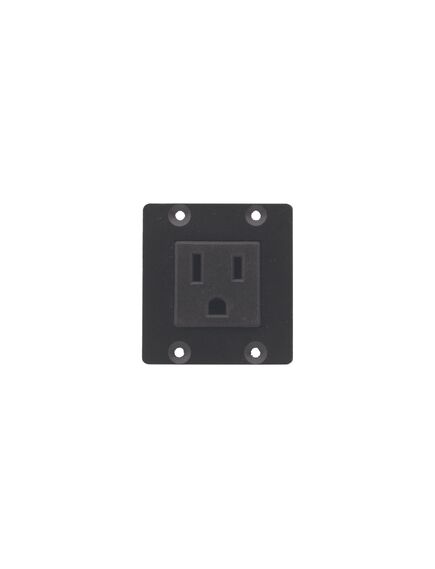 TS-1WUS Dual Power Socket, USA, 1xSocket, Version: Dual USA, 4 image