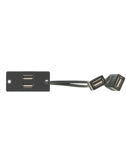 WU-2AA(B) USB Wall Plate Insert, Black, Double Slot, Colour: Black, 2 image