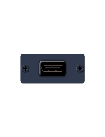 W-DP(G) DisplayPort Wall Plate Insert, Grey, Single Slot, Colour: Grey