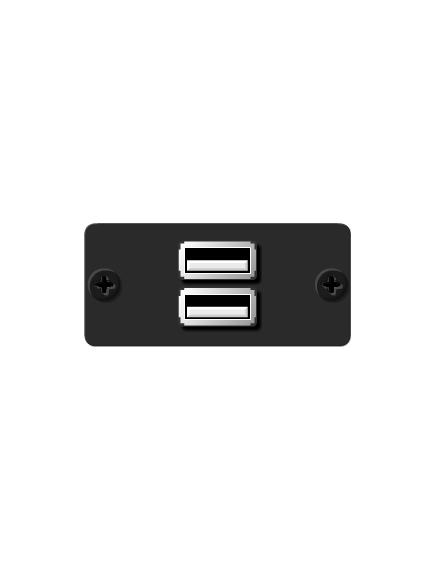 WU-2AA(B) USB Wall Plate Insert, Black, Double Slot, Colour: Black