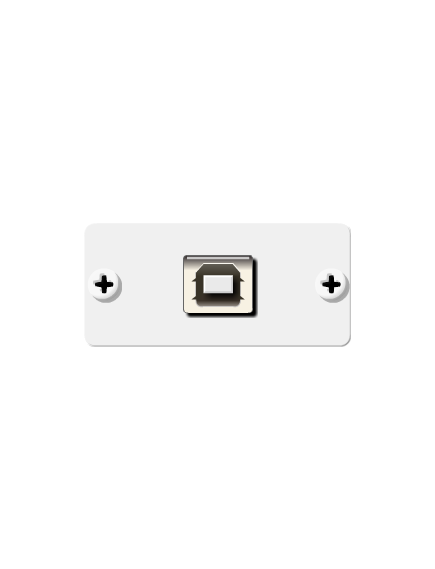 WU-BA(W) USB Wall Plate Insert, White, Single Slot, Colour: White