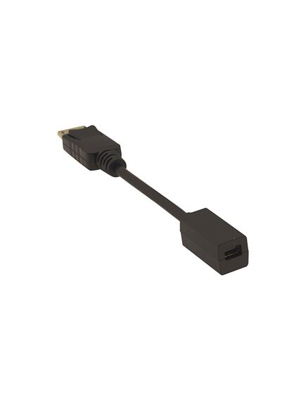 ADC-DPM/MDPF DisplayPort (M) to Mini DisplayPort (F) Adapter Cable, 2 image